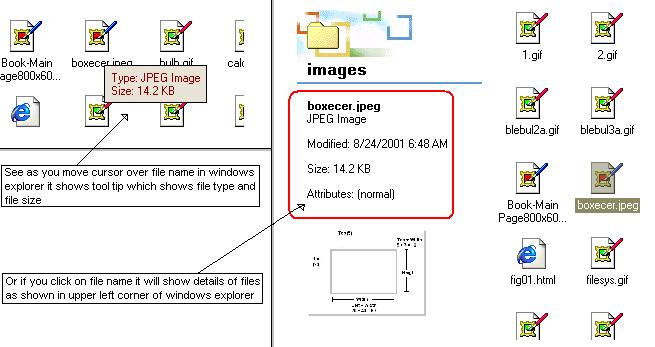 Getting File information in MS-Windows 