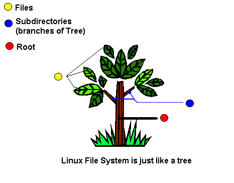 Linux File System